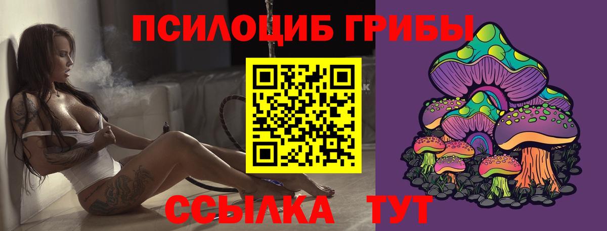 Галлюциногенные грибы Psilocybine cubensis  Вход с VPN  Галлюциногенные грибы GOLDEN TEACHER  Ахтубинск 